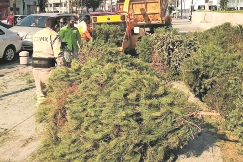 Una oportunidad para darles una segunda vida