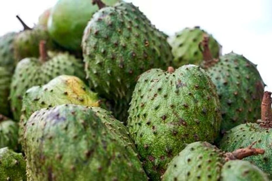 Té de hoja de guanábana. Fuente: Freepik.