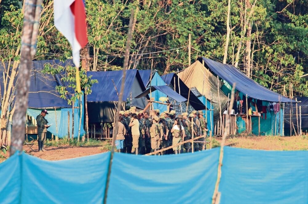 Ramón Guardado S. Jefe de la sede regional de observación de la ONU (Fotos: HÉCTOR FABIO ZAMORA)