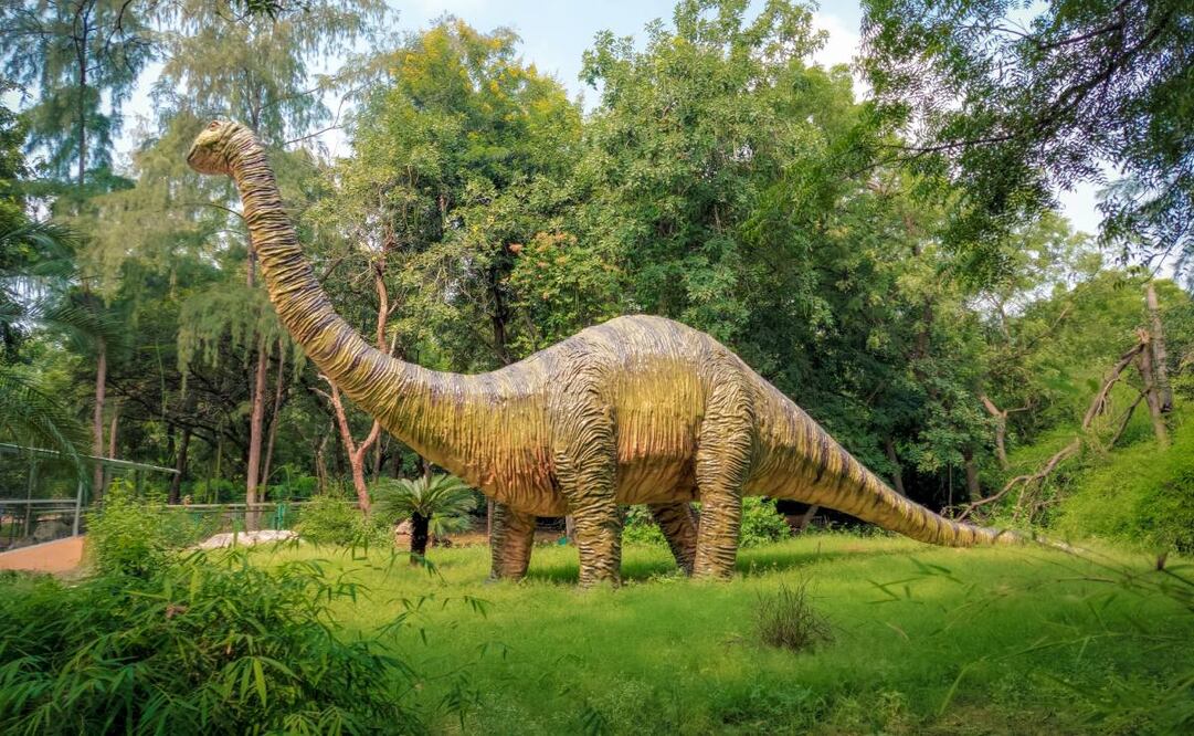 Conoce el mapa interactivo que te permite ver la Tierra en la época de los dinosaurios. Imagen: Unsplash