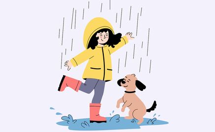 Temporada de lluvias en México; ¿cómo proteger a tu perrito del frío y humedad? 