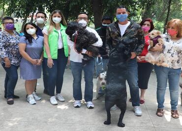 Anuncia Romo agenda de Bienestar Animal para alcaldía de Miguel Hidalgo