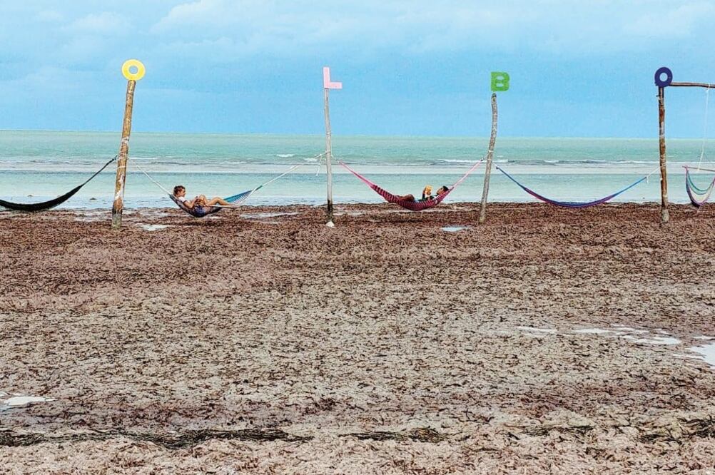 Las playas de Holbox son famosas por la fina y blanca arena que poseen, pero el fin de semana pasado esto cambió por completo al lucir cubiertas de algas a lo largo de 2.5 kilómetros de costa. (FOTOS: ADRIANA VARILLAS. EL UNIVERSAL)