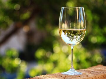 Gaja: visión para el futuro