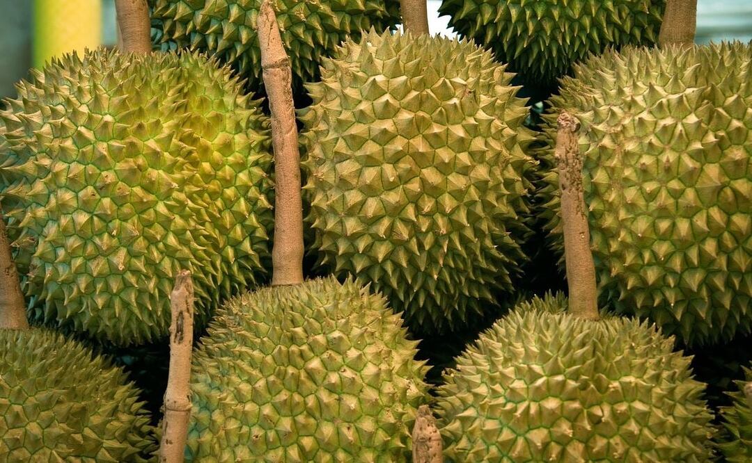 Foto: karolranis / Pixabay