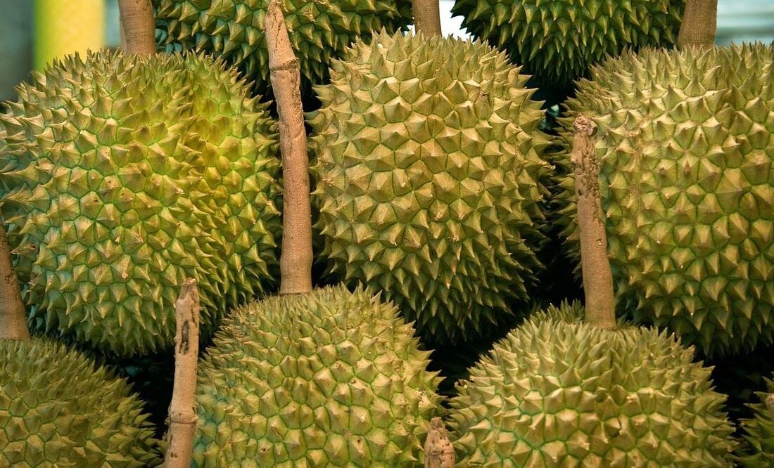 Foto: karolranis / Pixabay