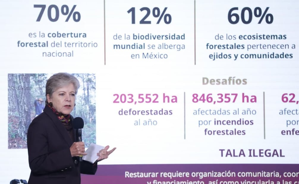 Alicia Bárcena en la “Mañanera del Pueblo” del 5 de agosto de 2026 en Palacio Nacional. Foto: Fernanda Rojas/ EL UNIVERSAL