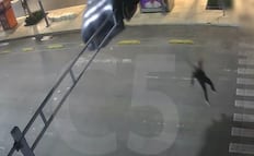 VIDEO Paracaidista desciende en calles del Centro de la CDMX; queda atorado en un semáforo