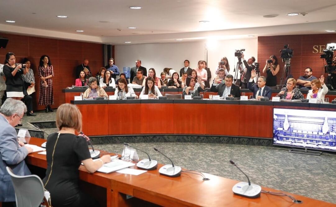 La comisión de Educación del Senado, integró a Andrea Contreras como candidata a la Junta Directiva del Organismo para la Mejora Continua de la Educación / Tomada de Twitter @senadomexicano