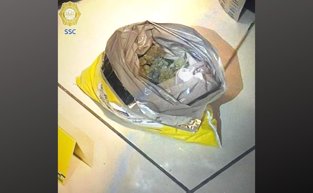 Los agentes encontraron bolsas con hierba verde con características similares a la marihuana, así como bolsas y empaques de empresas de paquetería. | Foto: Especial.