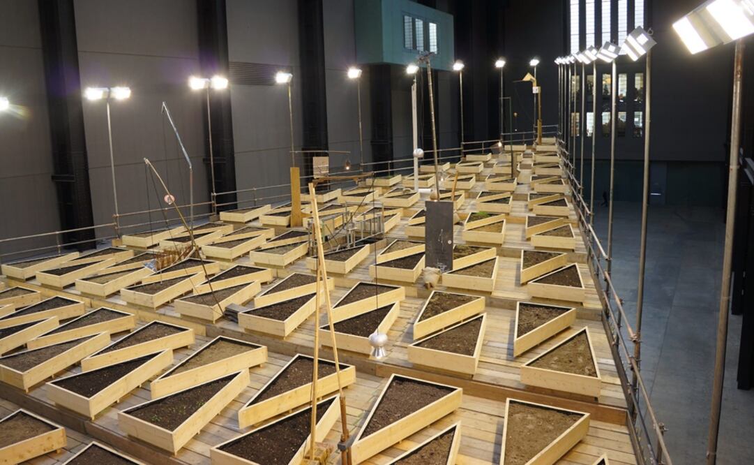 El artista utilizó 23 toneladas de tierra extraída de más de 30 lugares de la capital británica, desde parques públicos hasta los jardines privados del Palacio de Buckingham. (FOTOS: Notimex)