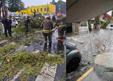 Reportan inundaciones y caída de árboles tras intensas lluvias en la CDMX