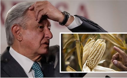 México no ha logrado dar elementos científicos a EU sobre prohibición de maíz transgénico