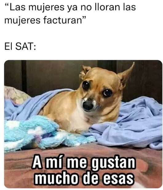 El desahogo de Shakira, un capítulo más en el drama de la tesis de Esquivel y la Guardia Nacional en el metro, entre los memes de la semana