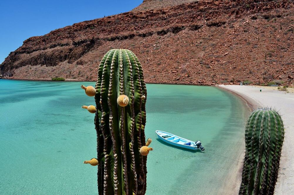 También hay paraísos de color azul turquesa en Baja California Sur. Foto: Cortesía Sefotur