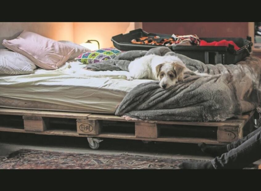 Millennials confrontan amor real con crisis