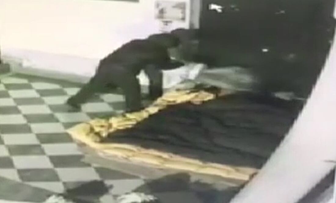 (Foto: Captura de pantalla)