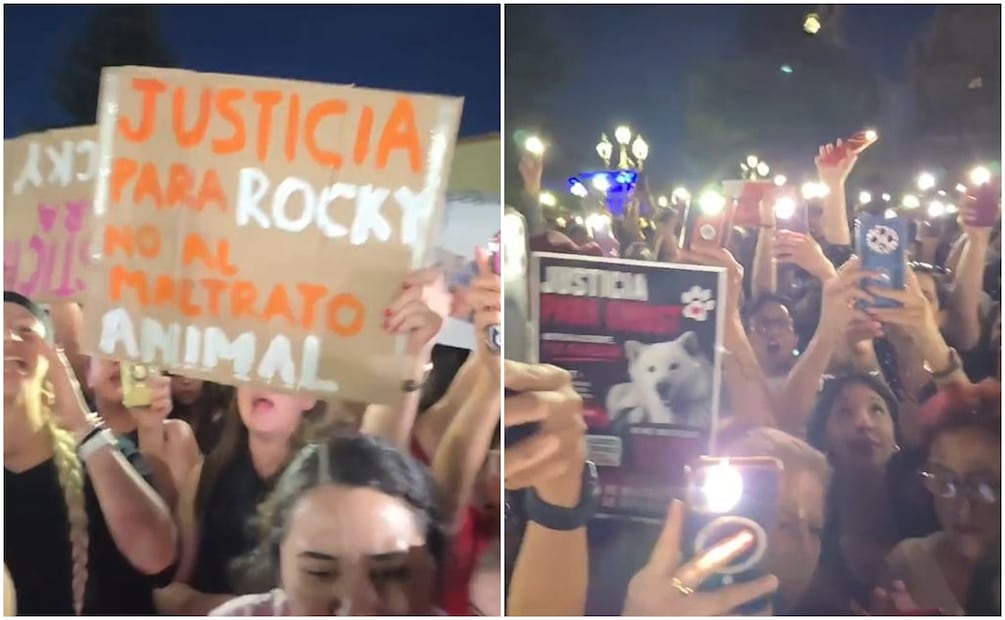 La marcha pacífica reunió a cientos de personas en la Plaza de Armas de Saltillo.
 Foto: captura de pantalla