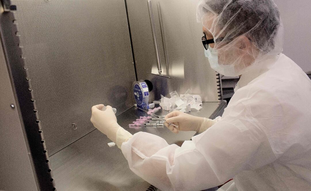 Foto: AFP PHOTO / MOUNT SINAI HEALTH SYSTEM, archivo