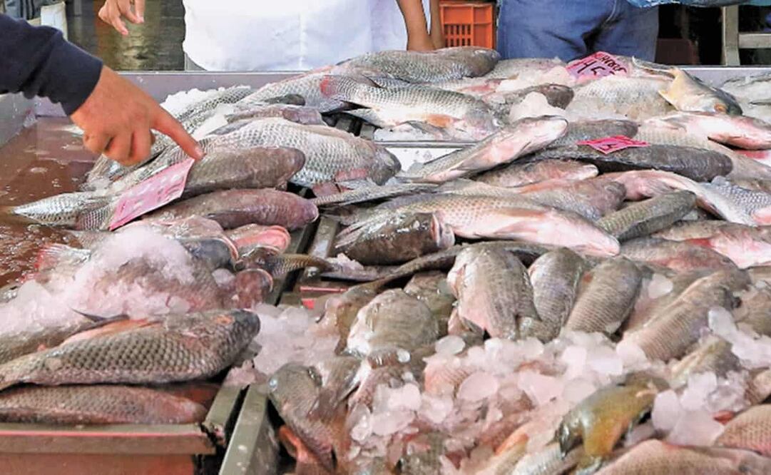 Prevén que la venta de pescados y mariscos impacte positivamente