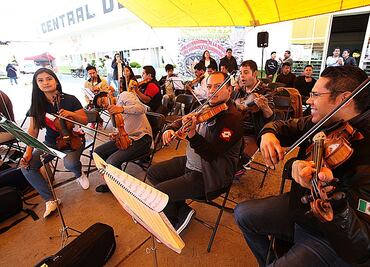Mariachis buscan romper Récord Guiness cantando en Toluca