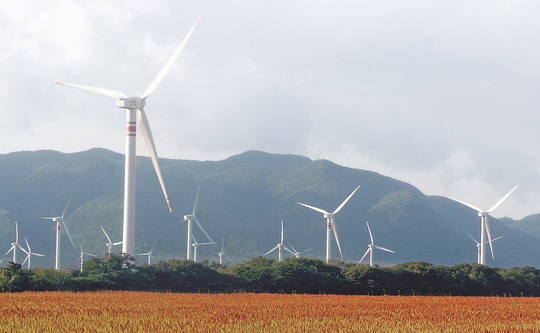 Foto: Archivo. EL UNIVERSAL