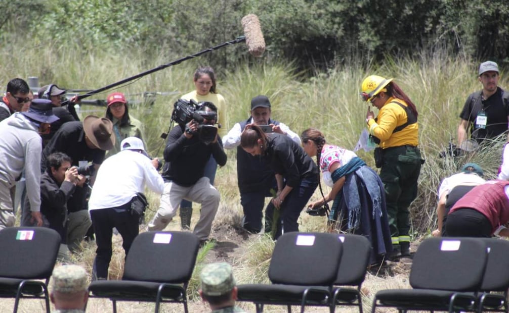 Jornada Nacional de Reforestación encabezada por la presidenta Claudia Sheinbaum en el Parque Nacional Iztaccíhuatl - Popocatépetl, en Puebla (09/08/2026). Foto: Omar Contreras/ EL UNIVERSAL