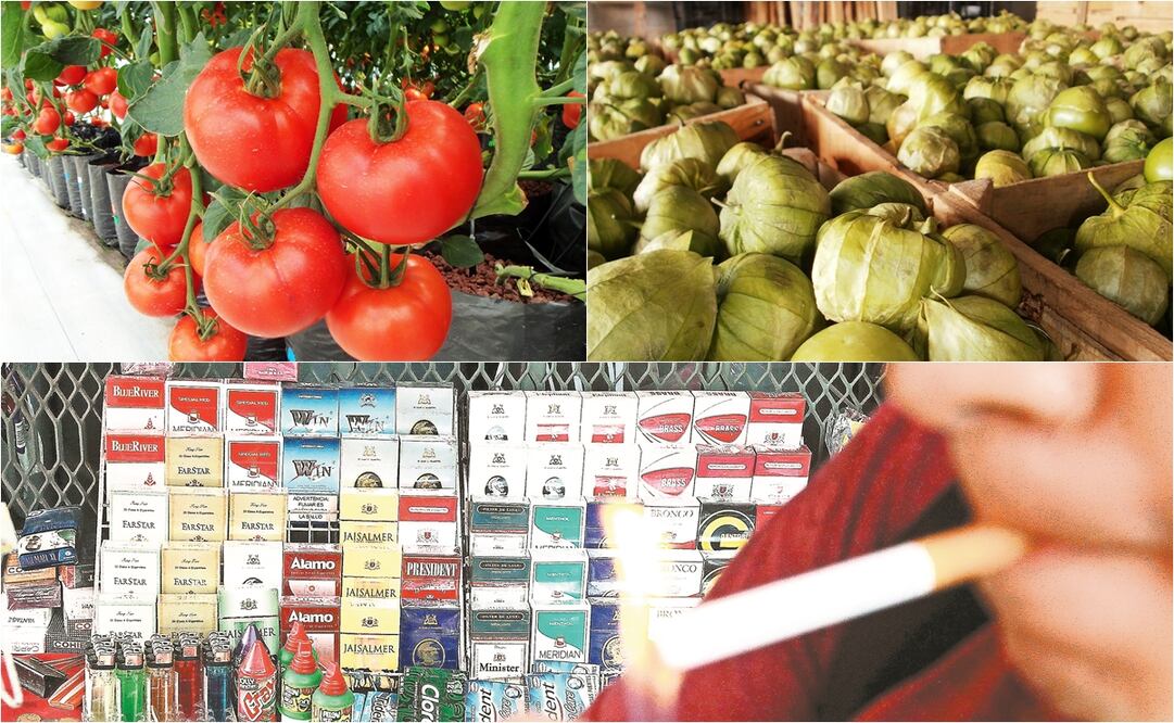 Foto: Pixabay y EL UNIVERSAL