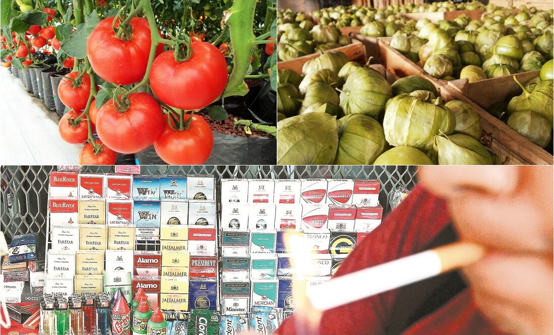 Foto: Pixabay y EL UNIVERSAL