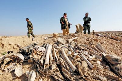 EU enviará fuerza a Irak para cazar a yihadistas