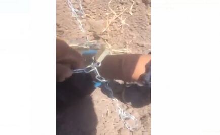 Rescatan a menor encadenado en Rioverde, San Luis Potosi