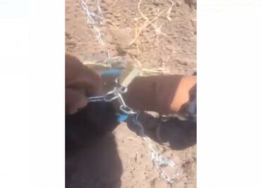 Rescatan a menor encadenado en Rioverde, San Luis Potosi