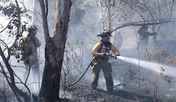 Incendios forestales en temporada de estiaje; colillas de cigarro desde vehículos entre las principales causas