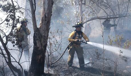 Incendios forestales en temporada de estiaje; colillas de cigarro desde vehículos entre las principales causas