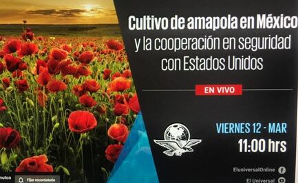 Foro: Cultivo de amapola en México y la cooperación en seguridad con EU
