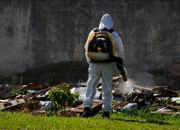 Brasil supera mil muertes por dengue en lo que va de 2024; se aproxima a cifra récord