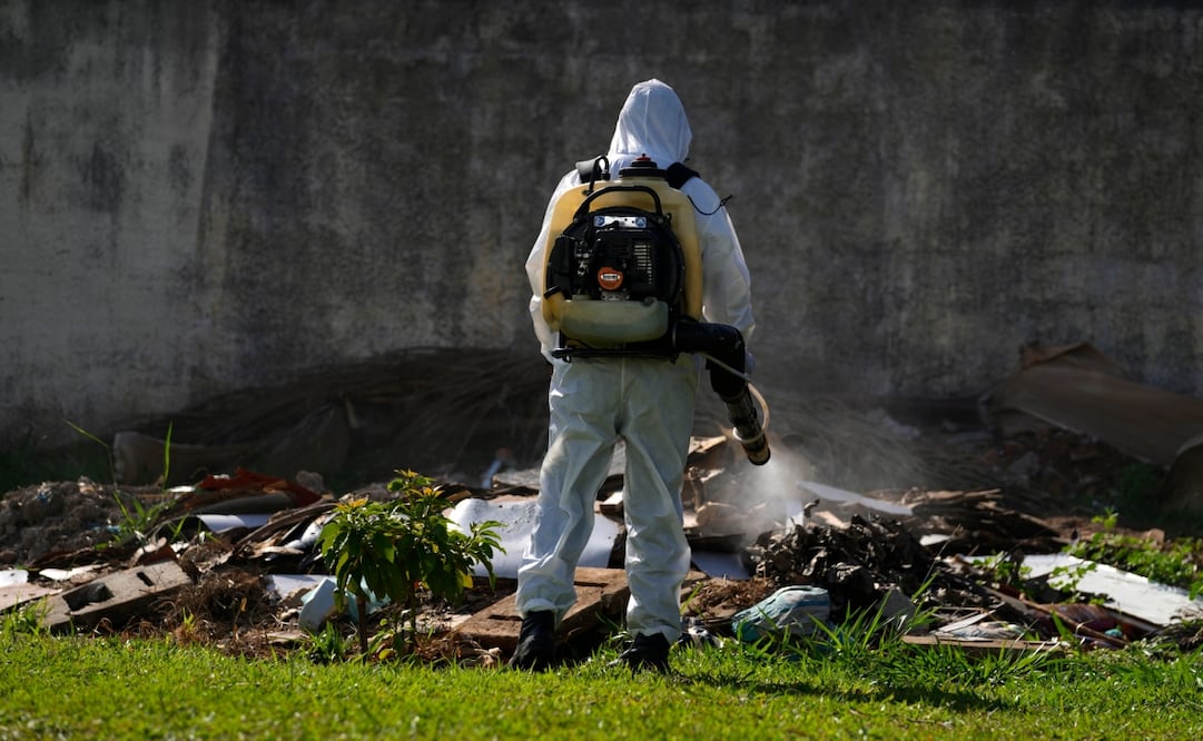El Ministerio de Salud prevé que Brasil terminará este año con un récord de 4.2 millones de casos, pese a que la mayoría de los estados brasileños ya superó el momento pico de la enfermedad. Foto: AP