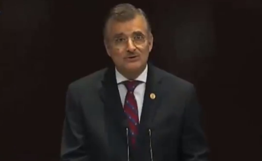 El coordinador de los diputados de Movimiento Ciudadano, Tonatiuh Bravo Padilla. Foto: Captura de pantalla