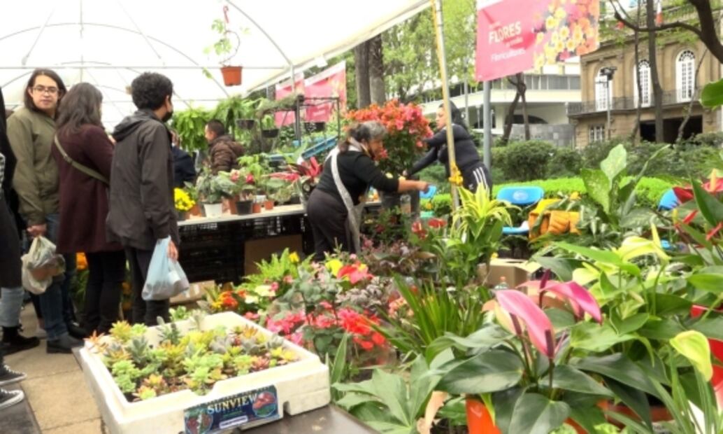 Cempasúchil, la más buscada en el último día del Festival de Flores de Otoño