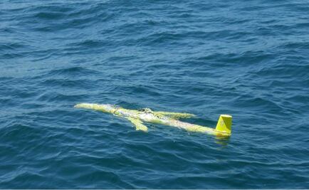 Submarine gliders to protect the Gulf of Mexico