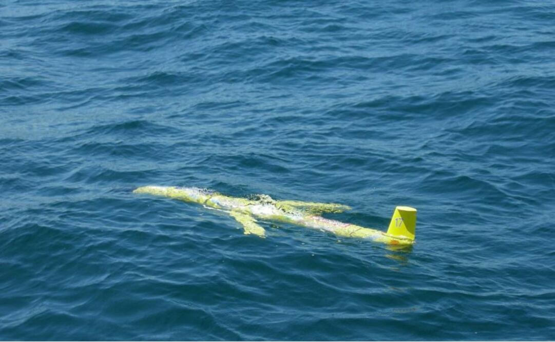 The gliders work by diving into the water as deep as 656 to 3280 feet and returning to the surface once the data is collected - Photo: File photo/EFE
