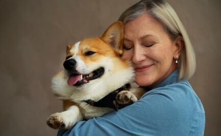 ¿Qué es la agresión adorable?; el experimento que se relaciona con objetos y seres vivos