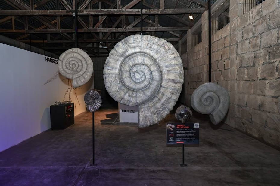 Foto: Gobierno de Santiago