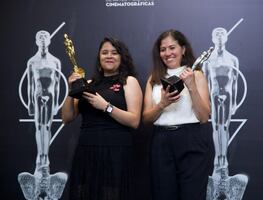 Premio Ariel 2025: así se vivió la gala más importante de la industria cinematográfica en México