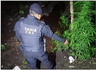 Cárteles del narco operan “sin fronteras” en América Latina