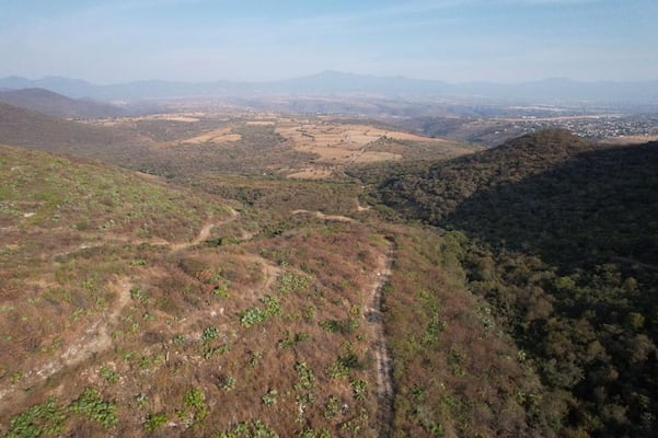 México promueve  una nueva actividad minera