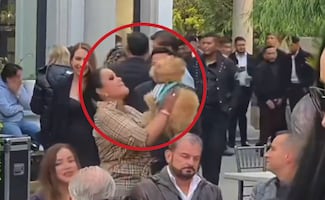 VIDEO Acusan a "La abogada de las estrellas" de maltrato animal; "indignante, ofensivo y agresivo", califica Sergio Mayer