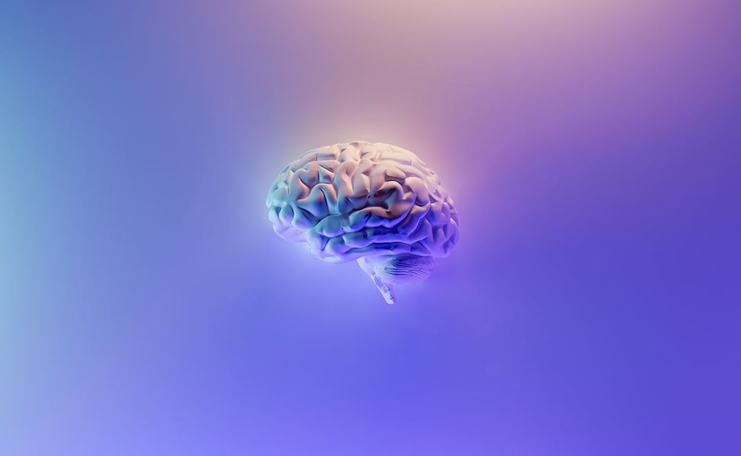 Día Mundial del Cerebro 2022: 5 puntos para la prevención