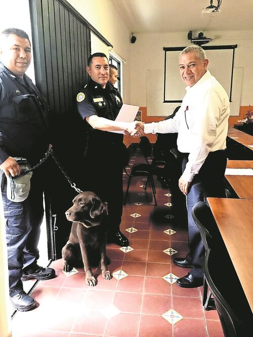 El fármaco fue detectado por el binomio canino de la PF y puesto a disposición de la Coepris (ARCHIVO EL UNIVERSAL)