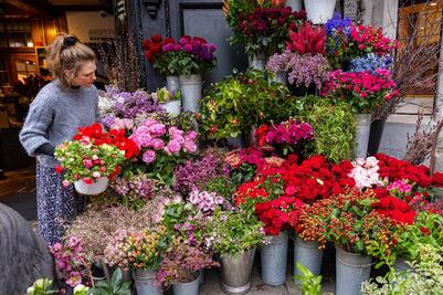 Día de la Soltería: ¿Qué dicen la psicología y la sociología?